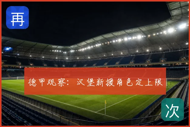 德甲观察：汉堡新援角色定上限